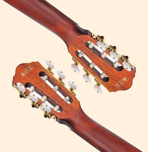 غيتار Ibanez AEG5012 12 سلسلة صوتية-حزمة من الكمان الداكن مع حقيبة أزعج ، موالف ، حزام ، سلاسل D'Addario ، اختيارات ، أوستن بازار تعليمية DVD ، وقطعة قماش تلميع in Saudi Arabia
