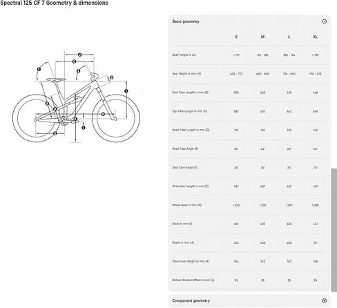 Canyon Spectral 125 CF 7 in Kuwait