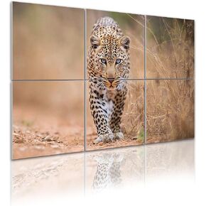 Art Acoustic Panels Leopard walking towards camera Kruger 6 Pack Decorative Sound Absorbing Wall Panels 72x48" Noise Canceling Soundproof Padding Room Decor for Office in Saudi Arabia