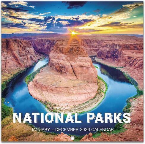 Calendar 2025 - JAN 2025 - DEC 2025, Wall Calendar, 12 Monthly Calendar 2025, 12" x 24" (Open), Wall Calendar 2025 with Unruled Blocks(1.5" x 1.4") + Thick Glossy Paper in Saudi Arabia