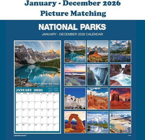 Calendar 2025 - JAN 2025 - DEC 2025, Wall Calendar, 12 Monthly Calendar 2025, 12" x 24" (Open), Wall Calendar 2025 with Unruled Blocks(1.5" x 1.4") + Thick Glossy Paper in Saudi Arabia