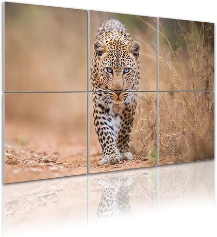Art Acoustic Panels Leopard walking towards camera Kruger 6 Pack Decorative Sound Absorbing Wall Panels 72x48" Noise Canceling Soundproof Padding Room Decor for Office in Saudi Arabia