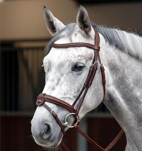 Flash Noseband Strap Attachment with Converter for English Leather Horse Bridle in Saudi Arabia