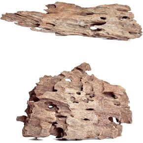 Natural Wood Punica Driftwood for Aquarium Fish Tank Wood,Extra Large Pomegranate Trunk Driftwood for Reptile Tank Decor (Punica-Trunk L(18-22 Inch or 1.4-2 Lb)-1 PCS) in Saudi Arabia