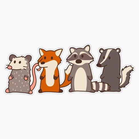 Fox, Raccoon, Opossum & Skunk Woodland Friends #3 Sticker Decal Vinyl Bumper Sticker Decal Waterproof 5" in Saudi Arabia
