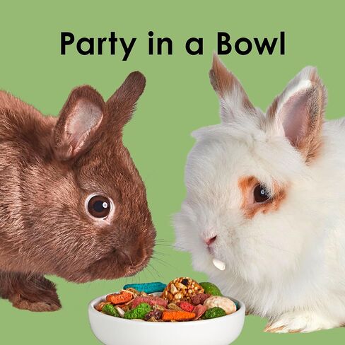 Kaytee Fiesta Pet Rabbit Food ، 6.5 جنيه in Kuwait