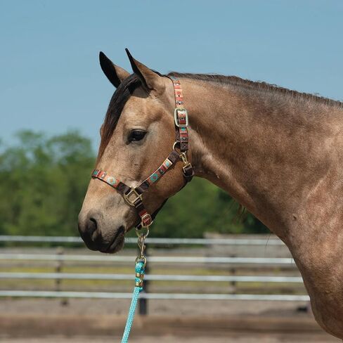 Weaver Leather Lost Creek Nylon Adjustable Horse Halter in Saudi Arabia