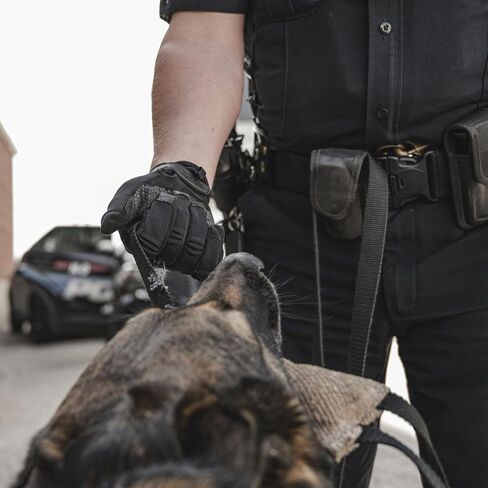 VIKTOS Men's Patrolux K9 Glove - Tactical Dog Handler Gloves with Touchscreen, Abrasion-Resistant Palm & Reinforced Finger in Kuwait