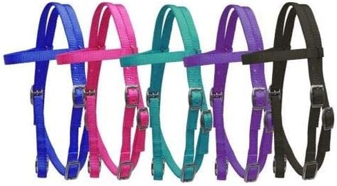 Showman Pony Size Premium Nylon Browband Headstall in Kuwait