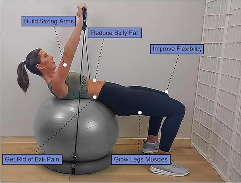 Yoga Ball Chair,Yoga Ball，Exercise Ball, Stability Ball Chair with Bands & Base Sturdy Desk Ball Chair for Spine Alignment Exercise Ball Seat for Yoga/Workout/Fitness/Pilates(Diameter 75cm ( 29 1/2" ) in Kuwait