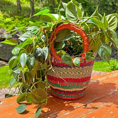 سلة أفريقية مستديرة ملونة فاخرة - مستديرة متوسطة مقاس 14 بوصة - من تصميم نساء السوق في بولجاتانجا، غانا مع مشروع خشب القلب الأفريقي - GBMRC (معبأة بشكل مسطح) in Kuwait