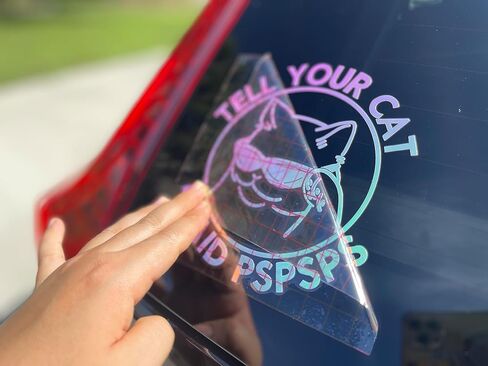 أخبر قطتك أنني قلت pspsps ملصق، ملصق ميمي مضحك للقطط، ملصق من الفينيل لنافذة سيارة شاحنة فان سيارات الدفع الرباعي، ملصقات يتي بهلوان، ملصق مجلة ميمي لطيف على الإنترنت، ملصق لمحبي القطط in Kuwait