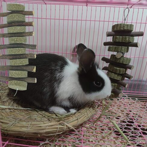 2pcs Rabbits Bunny Treats Natural pple Sticks with Timothy Hay Grass Cake Aple Branches with Grass Biscuit Chew Toys Pets Treats for Chinchilla Guinea Pigs Hamster in Saudi Arabia