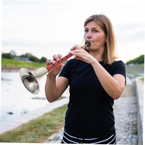 1set Professional Chinese Suona Traditional Wind Instrument Red Sandalwood Beginner-friendly Key of in Kuwait