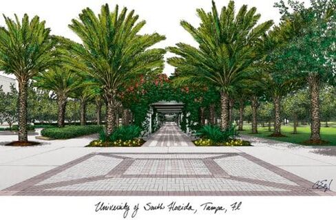 Campus Images NCAA South Florida Bulls Unisex Manhattan Black, Black, One Size in Saudi Arabia