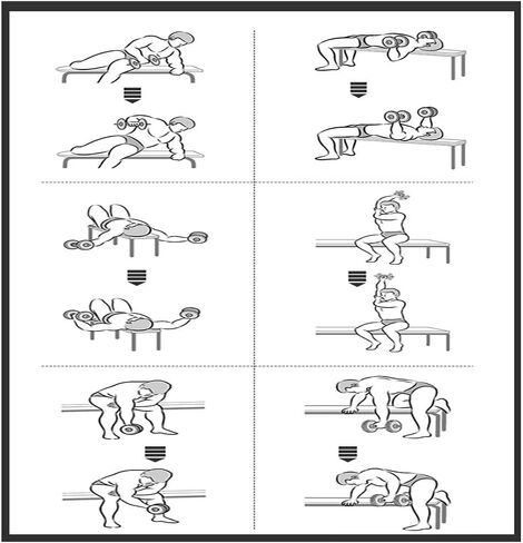 Small Weight Training Bench with Dumbbells - Commercial Dumbbell Bench for Sit Ups Fitness Equipment for Home Fitness Equipment Male Auxiliary Multive Fitness Chair in Saudi Arabia