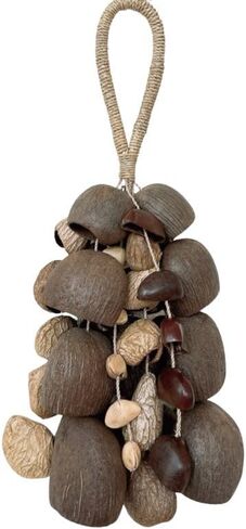 أجراس الرياح الطبيعية المصنوعة يدويًا، خشخشة تقليدية لليوجا والتأمل وشفاء الصوت، تصميم بني متعدد الأصداف مع سلسلة من القنب in Kuwait