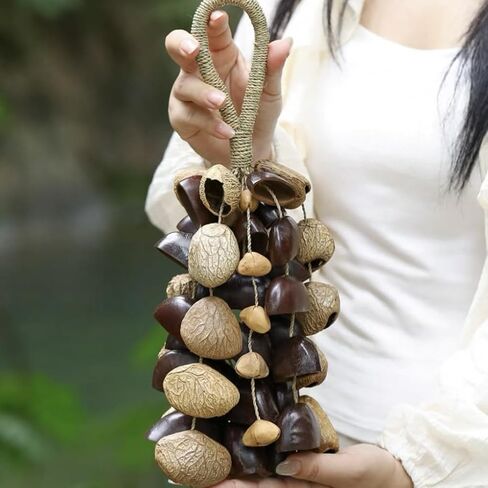 أجراس الرياح الطبيعية المصنوعة يدويًا، خشخشة تقليدية لليوجا والتأمل وشفاء الصوت، تصميم بني متعدد الأصداف مع سلسلة من القنب in Kuwait