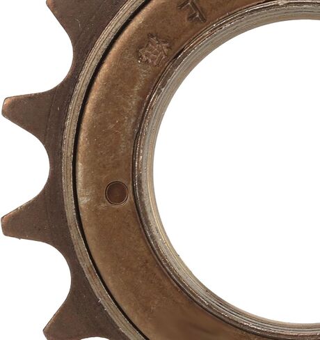 Freewheel Adapter Kit 16t with 20mm Replacement Lightweight Easy Installation Flywheel for Electric Tricycles Motorcycles Karts Spoke Chain Wheel Rear Gear Cog in Saudi Arabia