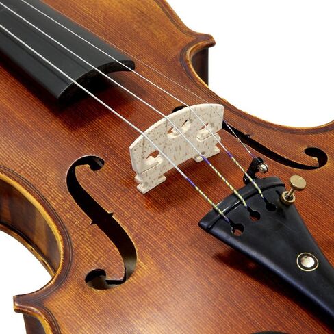 Paititi 3/4 Size PTVNSH100 Premium Hand Carved Ebony Fitted Violin Outfit with Case, Bow, String, Tuner, Mute and Rosin in Kuwait