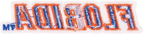 Desert Cactus University of Florida Patch - الحديد المطرز على/خياطة على التزيين للهروب والسترات والظهر على الظهر والحقائب والقبعات والمعدات التكتيكية - فلوريدا غتورس (التصحيح - التصميم F) in Saudi Arabia