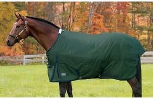 Rider's International Supreme Medium-Weight Turnout Blanket, Color: Black/Grey, Size: 78 in Saudi Arabia