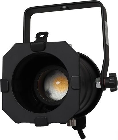 Black Aluminum Par 20 Light Fixture with Adjustable LED Bulb in Saudi Arabia