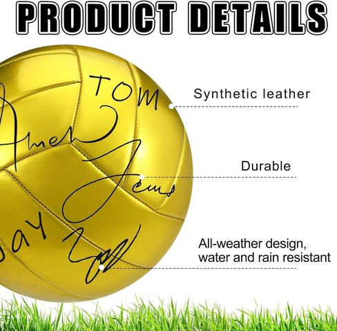 Liliful 2 Pcs Gold Autograph Volleyball Blank Official Size 5 Volleyball with 2 Display Stand 2 Signature Pen 1 Air Pump for Trophy Anniversary College Birthday Party Coaching Gift Awards in Saudi Arabia