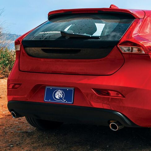 Rico Industries NCAA St. John's Red Storm Metal Auto Tag 6 "× 12" - رائع للشاحنة/السيارات/سيارات الدفع الرباعي in Saudi Arabia