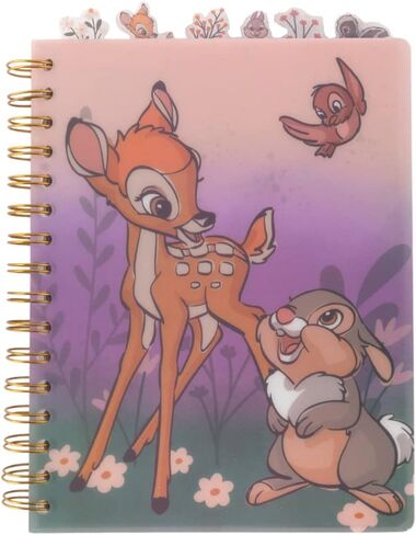 Innovative Designs Disney Princess Tab Journal Notebook for Kids, Spiral Bound, 96 Lined Pages, 8 x 7 inches in Kuwait