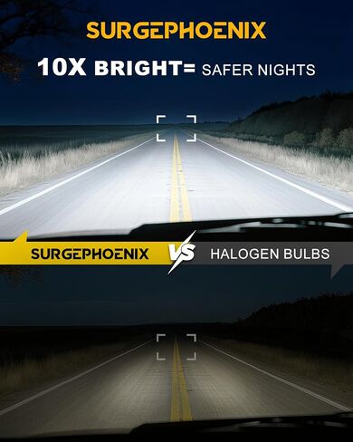 H11 Halogen Bulb for Fog in Saudi Arabia