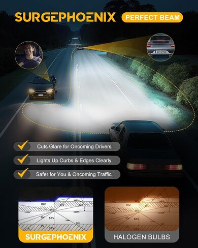 H11 Halogen Bulb for Fog in Saudi Arabia