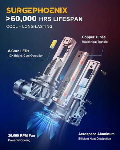 H11 Halogen Bulb for Fog in Saudi Arabia