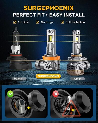 H11 Halogen Bulb for Fog in Saudi Arabia