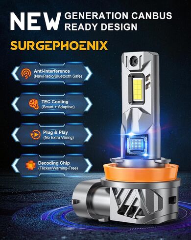 H11 Halogen Bulb for Fog in Saudi Arabia