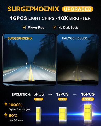 H11 Halogen Bulb for Fog in Saudi Arabia