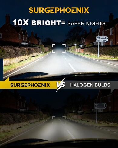 H11 Halogen Bulb for Fog in Saudi Arabia