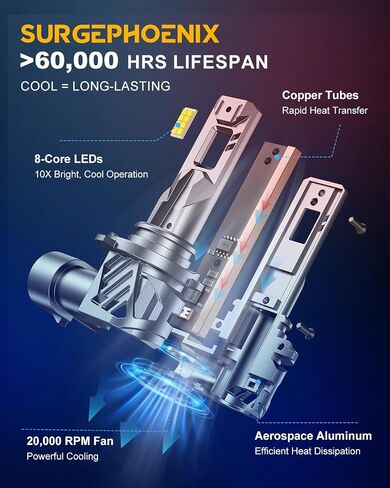 H11 Halogen Bulb for Fog in Saudi Arabia