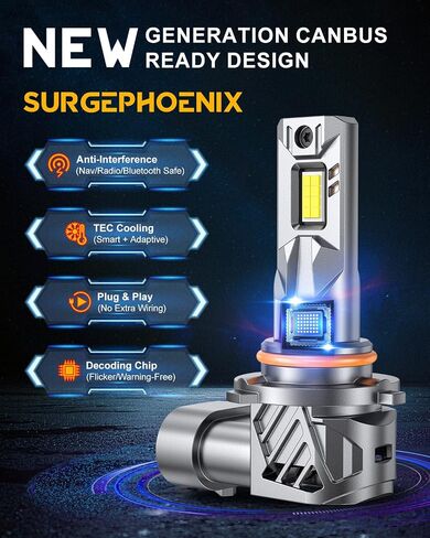 H11 Halogen Bulb for Fog in Saudi Arabia