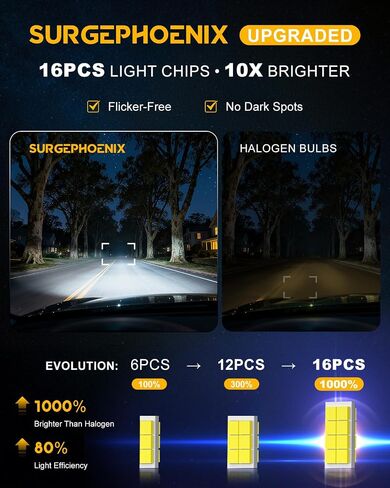 H11 Halogen Bulb for Fog in Saudi Arabia