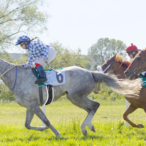 حزام حصان من الصوف من Soulchen مع بطانات قابلة للإزالة، مقاس 30 بوصة قابل للتنفس وقابل للتعديل، حزام ميرينو من صوف ميرينو الناعم لحزام السرج الغربي لسباق السرج الغربي وركوب الدراجات والسفر in Saudi Arabia