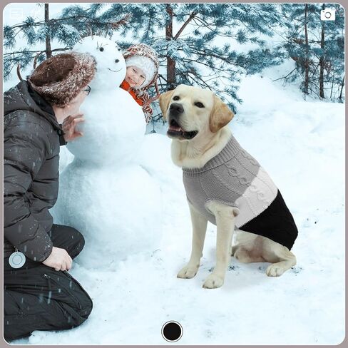 EXPAWLORER Dog Sweater - Large Dog Fall Sweaters for Dogs Girls Boys,Classic Turtleneck Knitwear Dog Clothes for Cold Weather, Cable Knit Dog Outfit,Coat,Pet Apparel(Orange,XL) in Kuwait