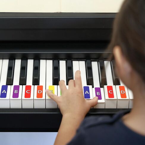 Frienda 20 Sheets Rhythm Band Music Staff Paper 4 x 6 Inches Instrument Labels with 1000 Pcs Colorful Rainbow Piano Stickers for Music Composition Practice Teaching Supplies in Saudi Arabia