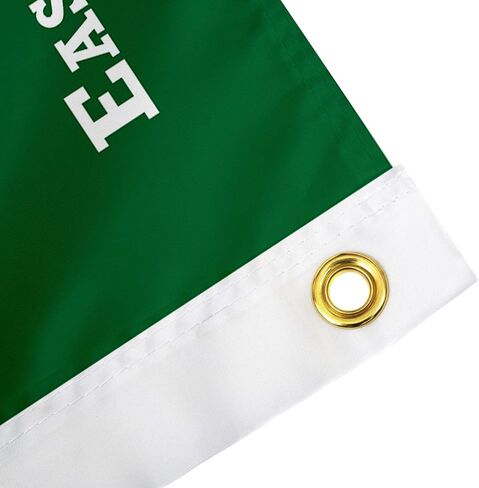 Desert Cactus Eastern Michigan University EMU Flag - 3 x 5 Feet Eagles Banner, Indoor/Outdoor Durable Fabric, 100% Polyester Design (Style 1) in Saudi Arabia