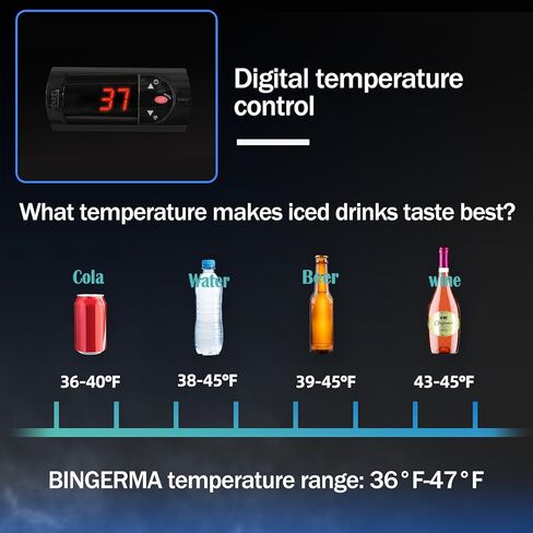 6.5 Cu.ft Beverage Beverage Beverage Door Glass Door مستقيم مع عرض ثلاجة مع أرفف قابلة للتعديل وضوء LED لمكتب متجر مطعم Store Store in Saudi Arabia