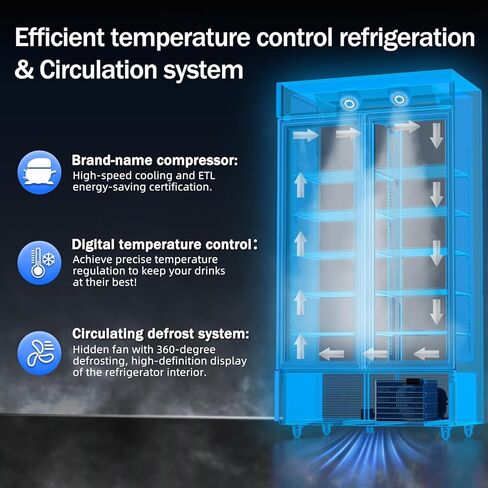 6.5 Cu.ft Beverage Beverage Beverage Door Glass Door مستقيم مع عرض ثلاجة مع أرفف قابلة للتعديل وضوء LED لمكتب متجر مطعم Store Store in Saudi Arabia