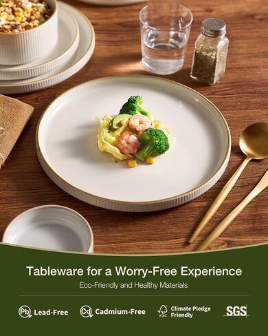 Famiware Star Stoneware Dinnerware Set, Reactive Glaze Plates & Bowls for 4 in Saudi Arabia