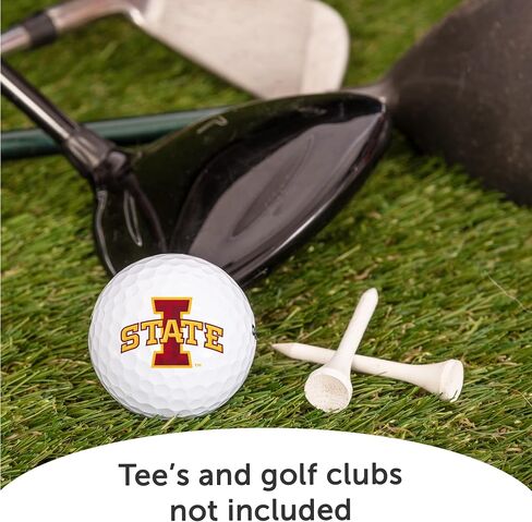 Desert Cactus Iowa State University Golf Balls 12 Pack Full Color Dozen Golf Ball in Saudi Arabia
