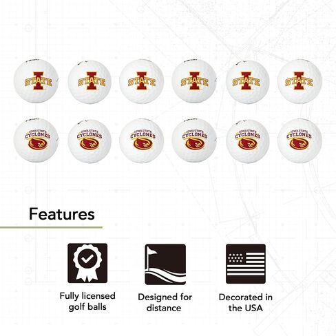 Desert Cactus Iowa State University Golf Balls 12 Pack Full Color Dozen Golf Ball in Saudi Arabia