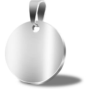 TSJ-STORE Stamping Blanks Silver Round Metal Charms 20 Pcs Stainless Steel Blank Stamping Tags with Hole 1 Inch (25mm) Pendants for Necklace Bracelet Pet ID Name Tags DIY Handicrafts